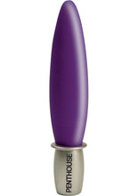 Load image into Gallery viewer, Penthouse City Paris Vibrator 6 Inch Purple