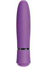 Load image into Gallery viewer, Taking Care Of Business Bullet Waterproof Purple