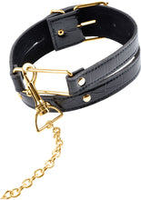 Load image into Gallery viewer, Fetish Fantasy Gold Collar and Leash Black/Gold