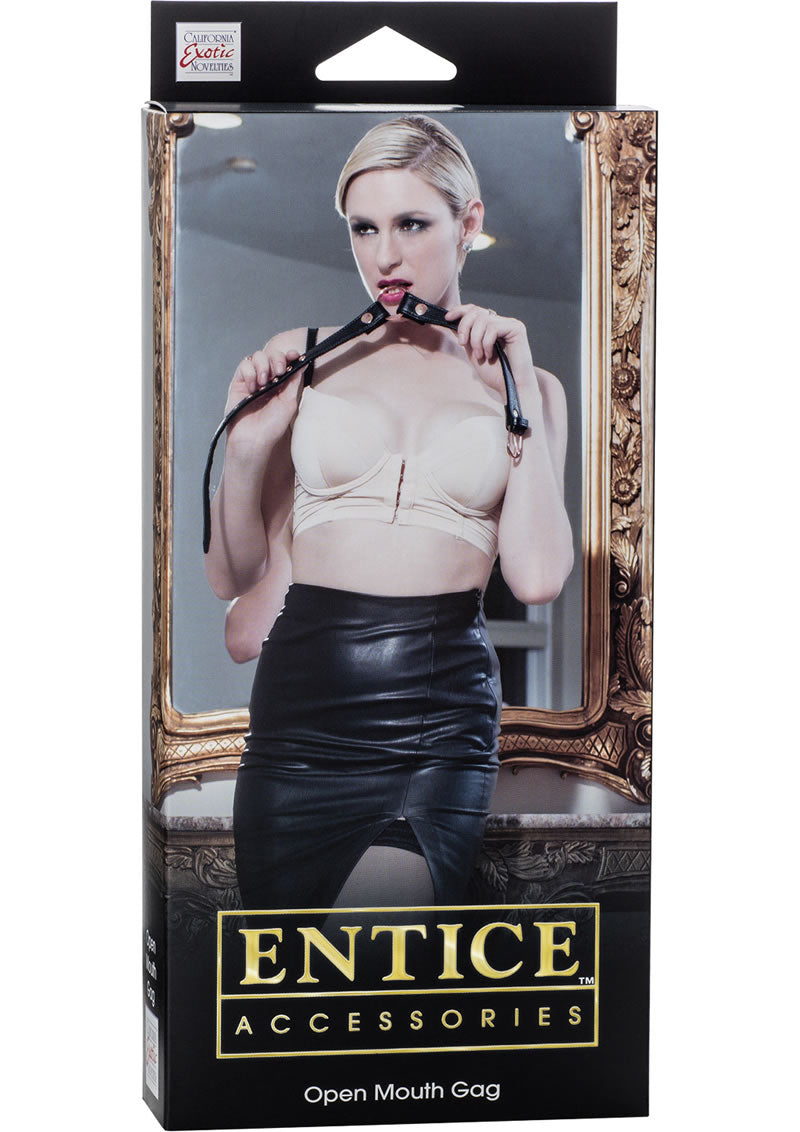 Entice Accessories Open Mouth Gag