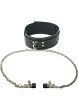 Load image into Gallery viewer, Master Series Adjustable Coveted Collar And Clamp Union Leather And Metal