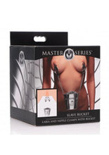 Load image into Gallery viewer, Master Series Slave Bucket Labia And Nipple Clamps With Bucket