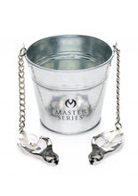 Load image into Gallery viewer, Master Series Slave Bucket Labia And Nipple Clamps With Bucket