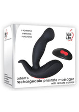 Load image into Gallery viewer, Aande Adams Recharge Prostate Massager