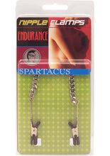Load image into Gallery viewer, Endurance Teaser Tip Nipple Clamps With Jewel Chain Silver